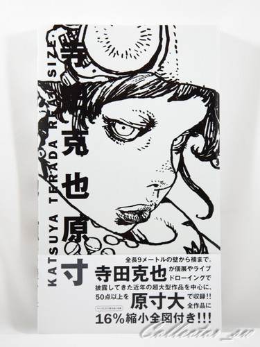 Katsuya terada libro arte - terada,